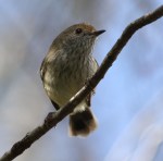 14062897589_c6242ebd30_o