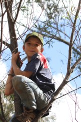 14226374736_84f3de5fcf_o