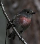 14226409666_2b36bdcba0_o