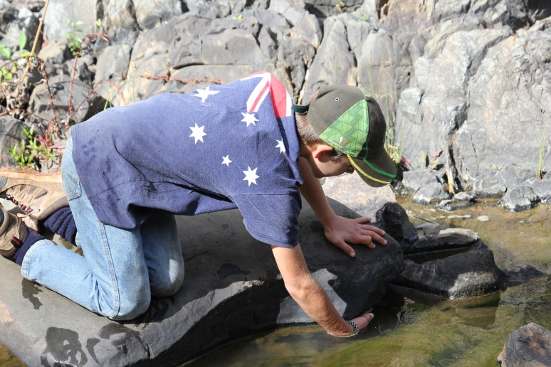 14246205801_40612da2b1_o