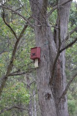 14247152382_f0cd7e772b_o (1)