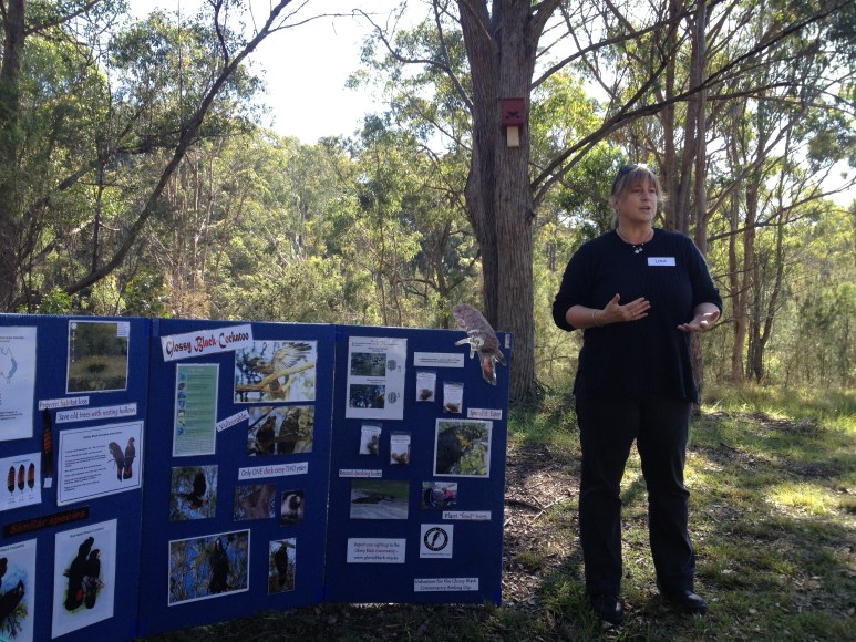 14249006604_afeff8061b_o