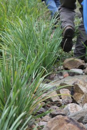 14249467605_4e44ea49f1_o