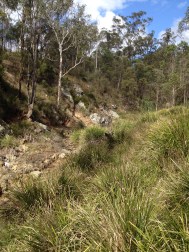 14269526893_700cb4288a_o