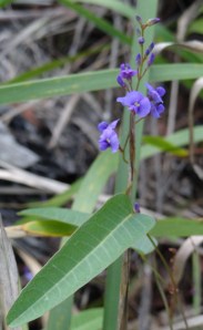 Wordwood 17 May 2014 FC (18)