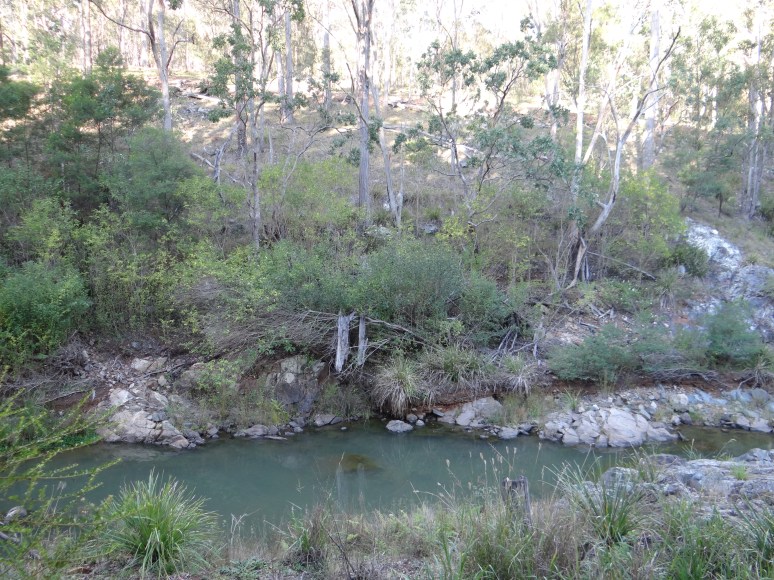 Wordwood 17 May 2014 FC (7)