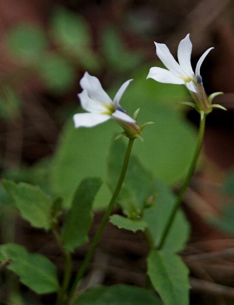 6820414936_ecbc2bcc2c_b (2)