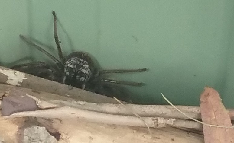 20180507_093514 (002) 2