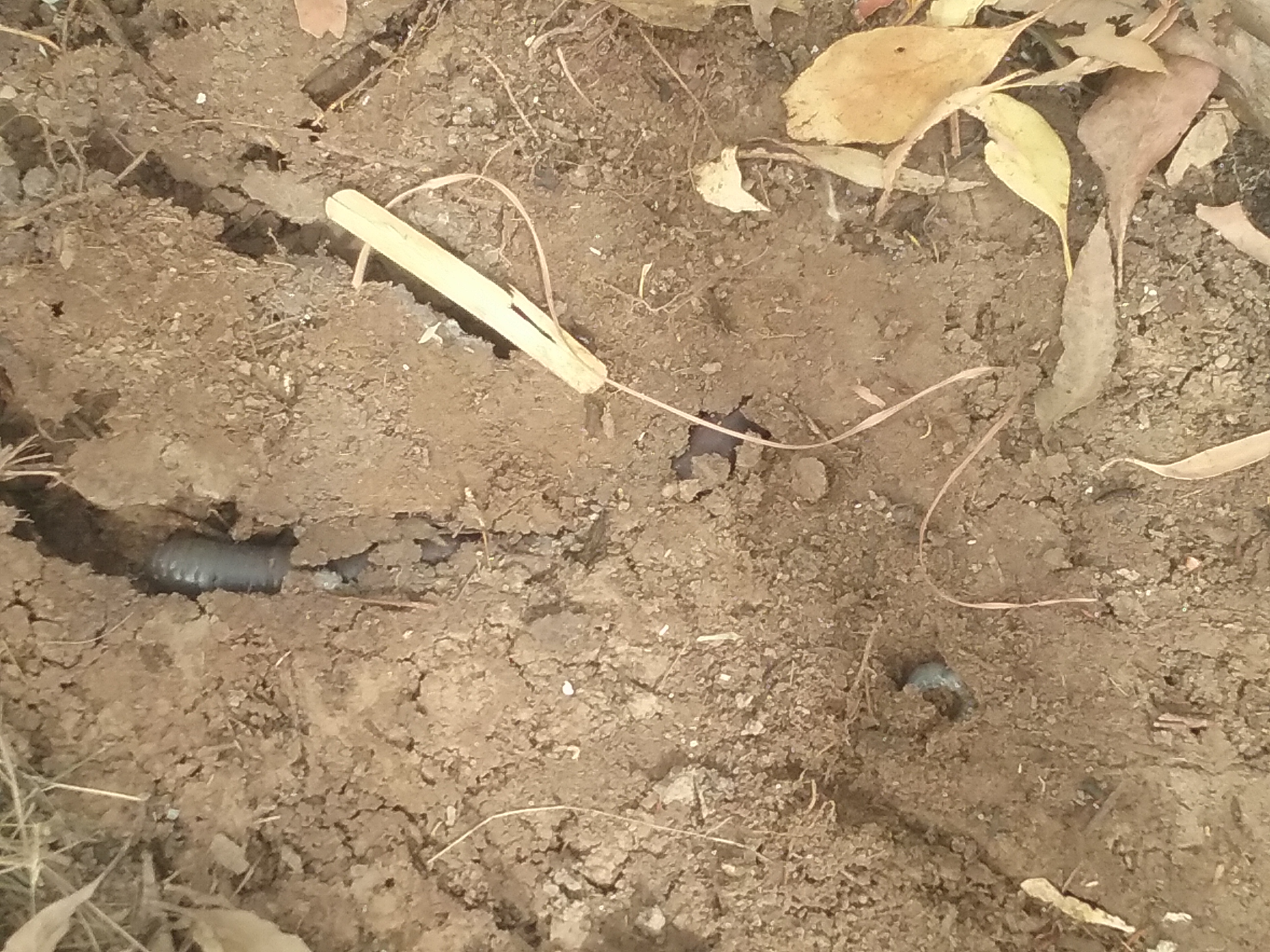 20180507_093520 (002)