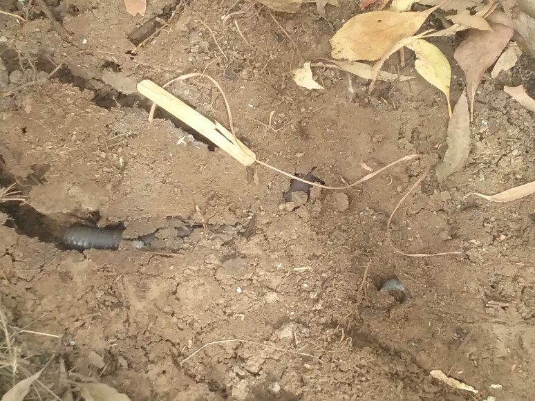 20180507_093520 (002)